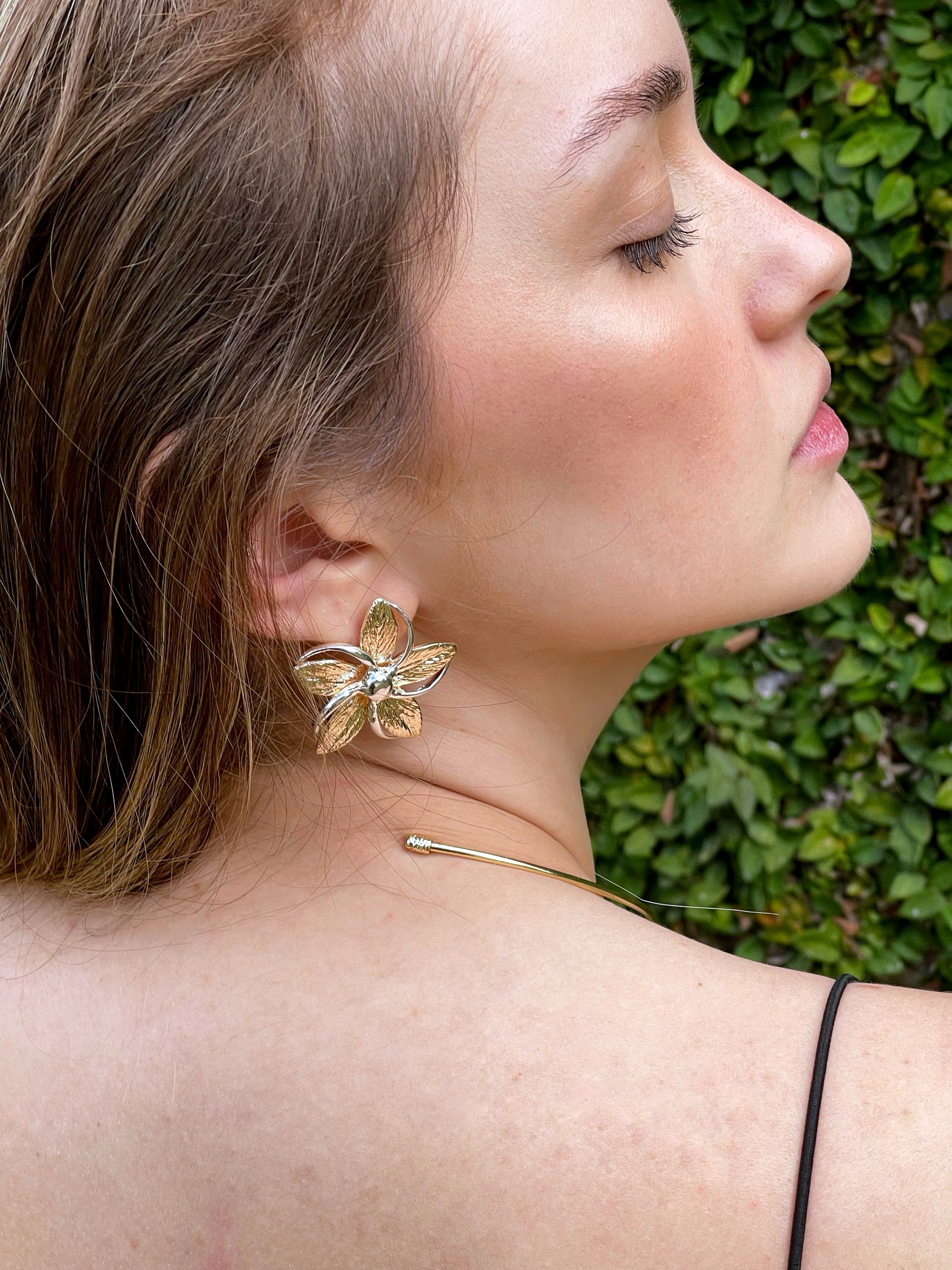 Conjunto Flora — imagem 1